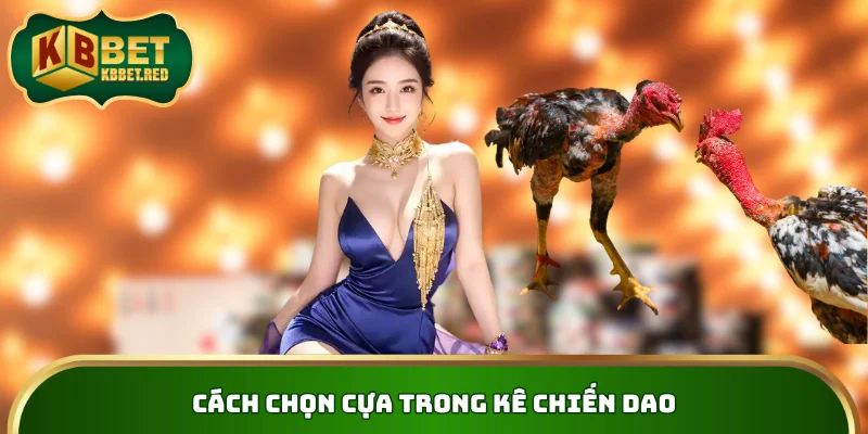 Cách chọn cựa trong kê chiến dao