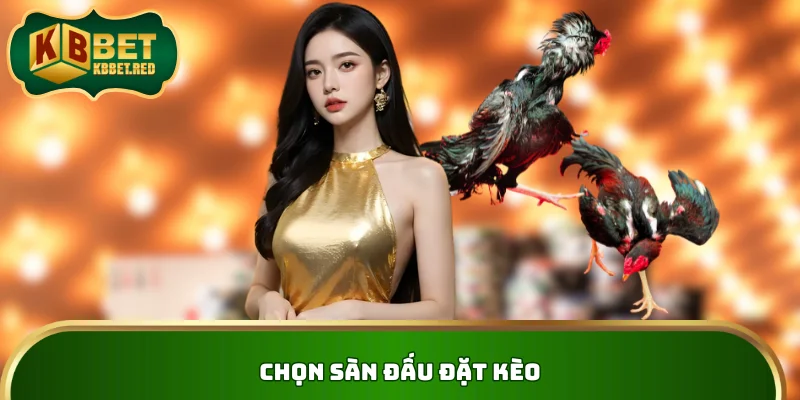 Chọn sàn đấu đặt kèo