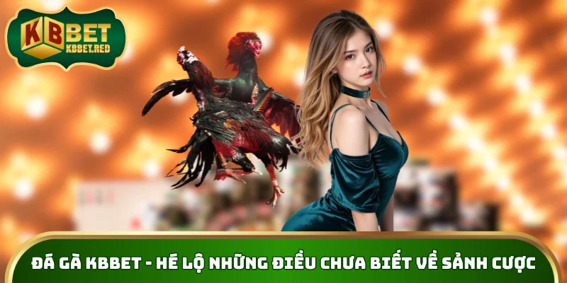 Đá Gà KBBET