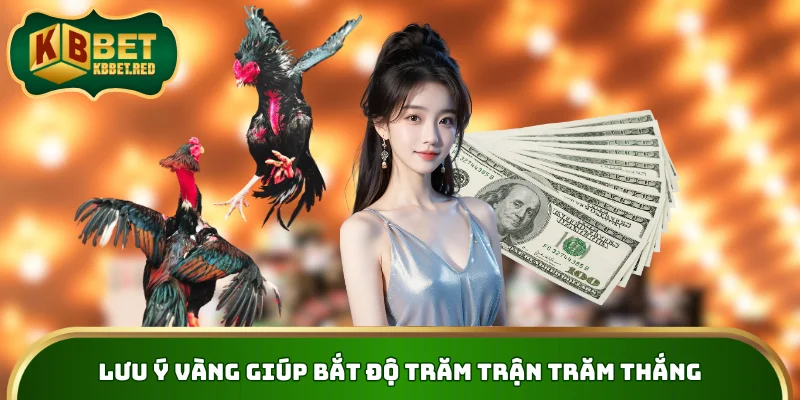 Lưu ý vàng giúp bắt độ trăm trận trăm thắng
