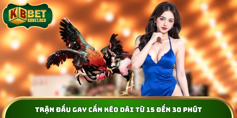 Trận đấu gay cấn kéo dài từ 15 đến 30 phút